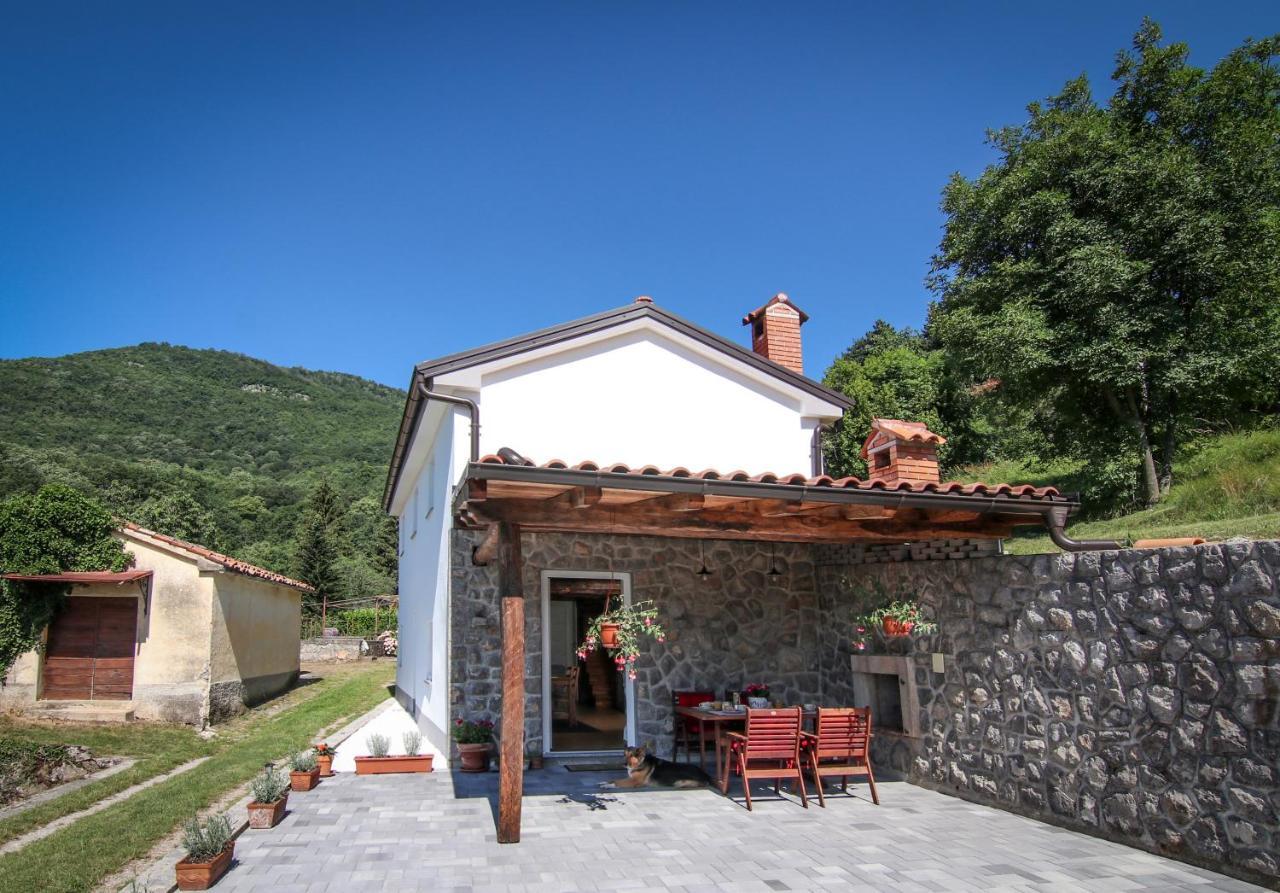 Guest House 'Villa Fani' Veprinac With Jacuzzi Exteriör bild