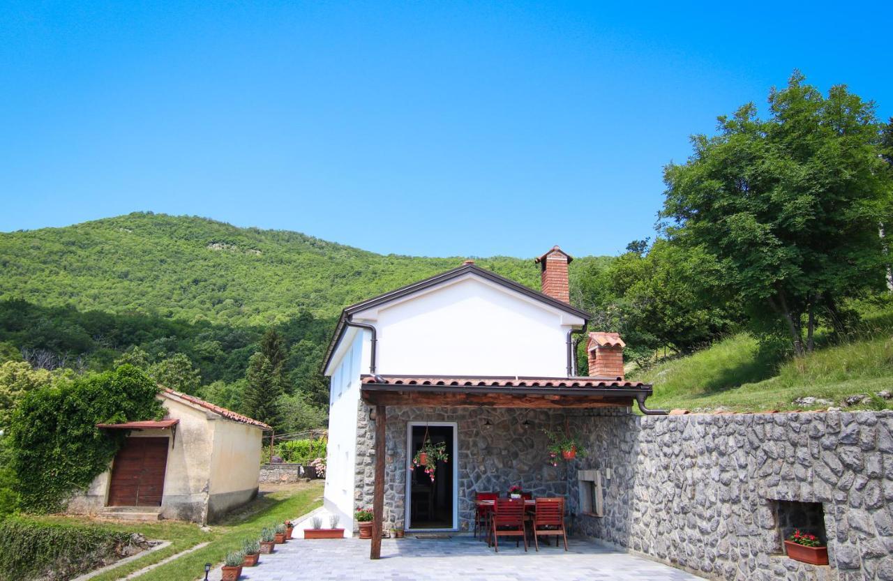 Guest House 'Villa Fani' Veprinac With Jacuzzi Exteriör bild
